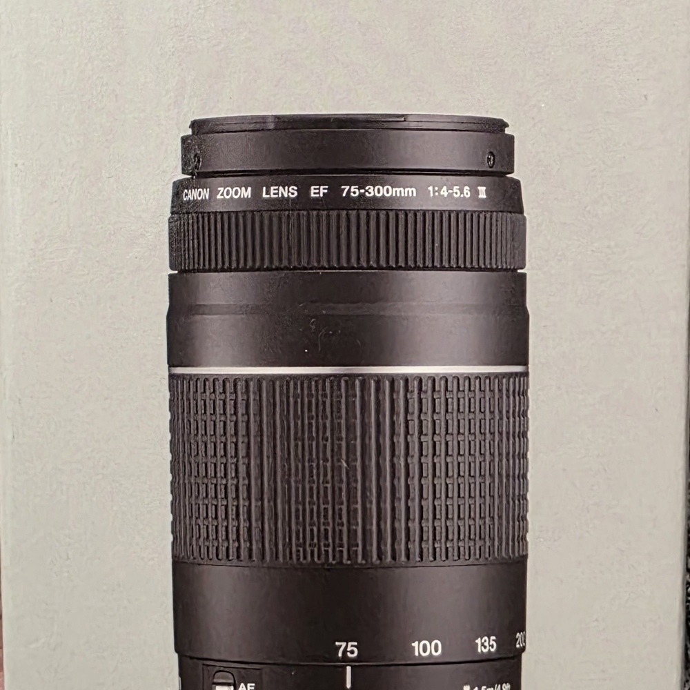 Canon Black EF 75-300mm Zoom Lens